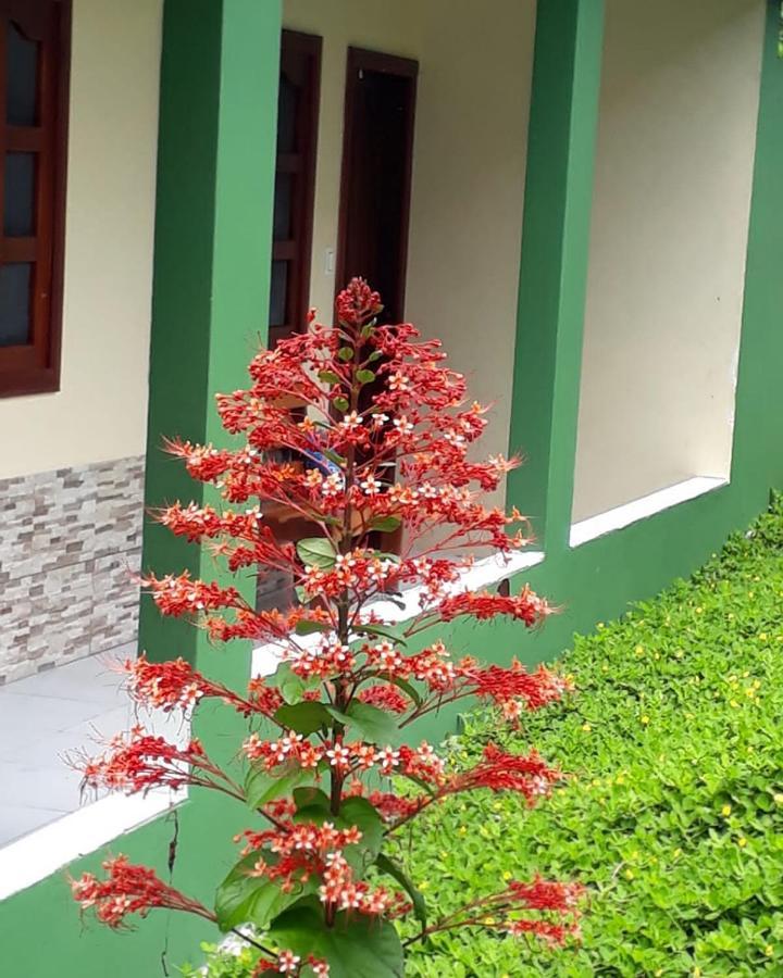Wikungo Hotel Puerto Narino Luaran gambar