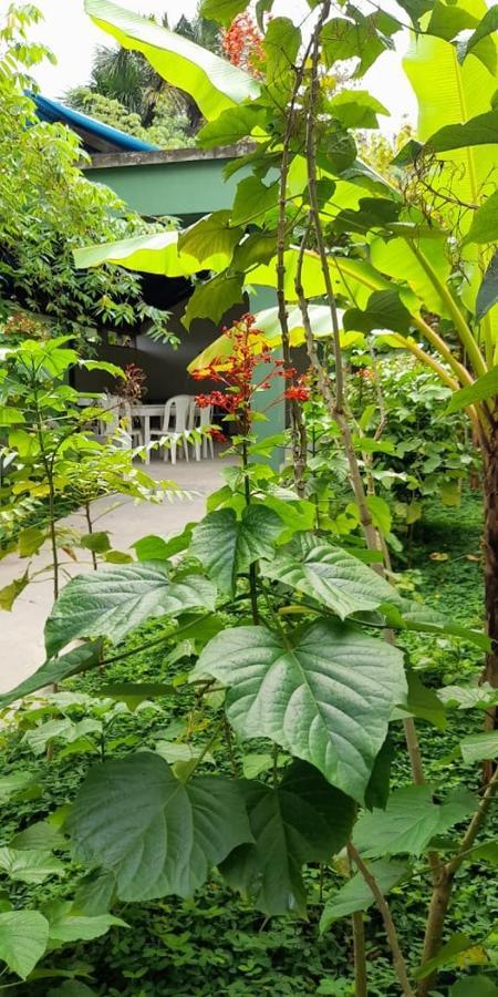 Wikungo Hotel Puerto Narino Luaran gambar