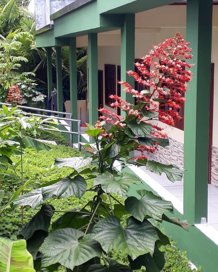 Wikungo Hotel Puerto Narino Luaran gambar