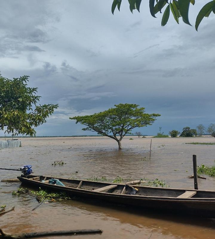 Wikungo Hotel Puerto Narino Luaran gambar